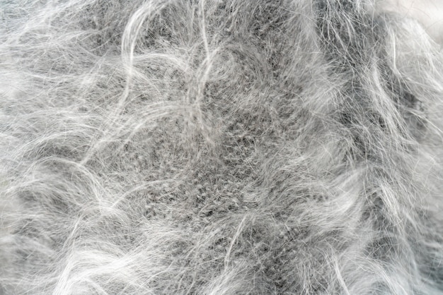 Premium Photo | Gray wool. the texture of natural wool.