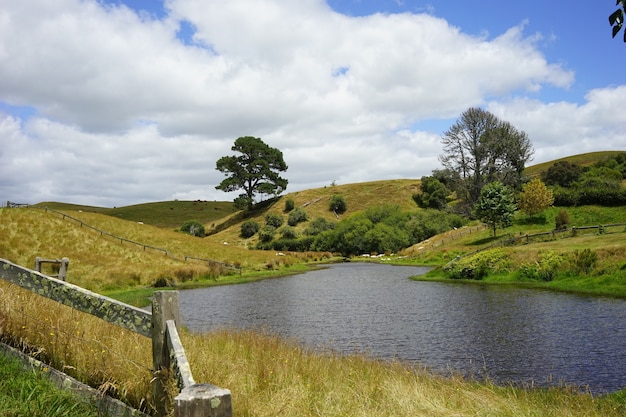 Free Photo Great Shot Of The Hobbiton Movie Set In Matamata New Zealand