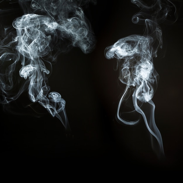 Free Photo | Great silhouettes of white smoke