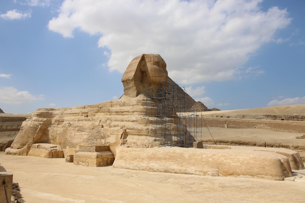 Premium Photo | Great sphinx on the restoration. giza egypt