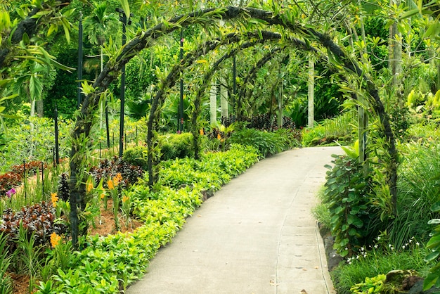 Premium Photo | Green arcs made of tropical plants above pedestrian ...