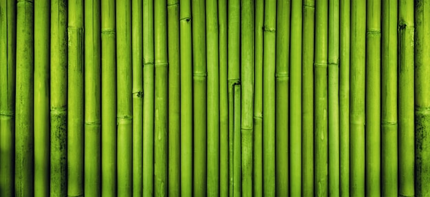 Bamboo Texture Images Free Vectors Stock Photos Psd