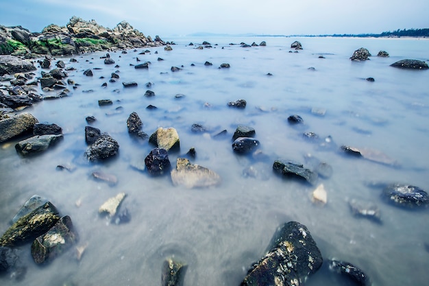 Premium Photo | Green beach natural seascape landscape