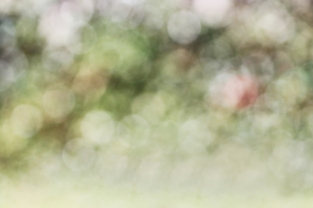 Premium Photo | Green blur, out of focus background.