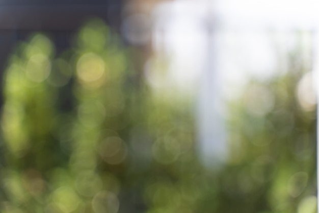 Premium Photo Green Bokeh Out Of Focus Background