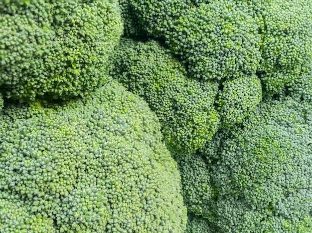 Premium Photo | Green broccoli head backgraund photo macro texture