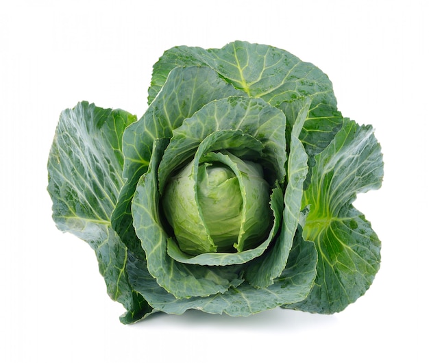Green cabbage isolated on white Premium Photo