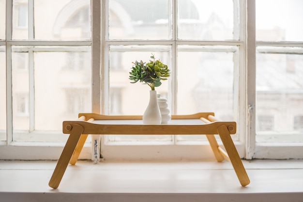 Green Cactus Succulents On The Windowsill On Wooden Table Photo