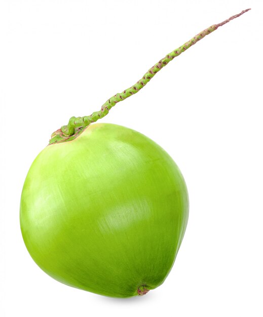 Premium Photo | Green coconut isolated on white clipping path