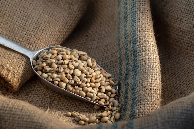Green coffee bean raw in sack with scoop Premium Photo