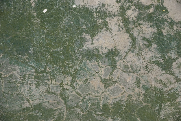 Premium Photo | Green color cement on texture and background