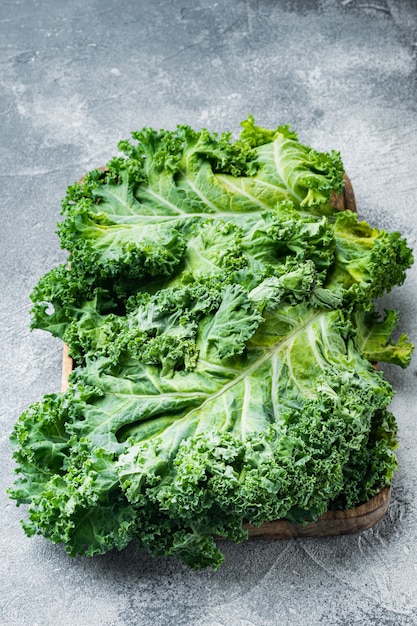 Premium Photo | Green curly kale plant set, on gray background