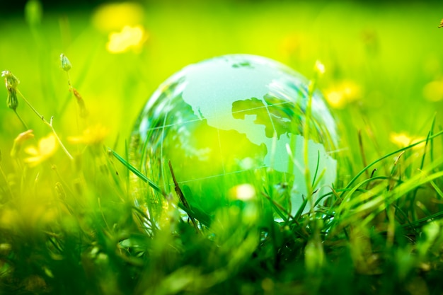 Premium Photo | Green & eco environment, glass globe in the garden