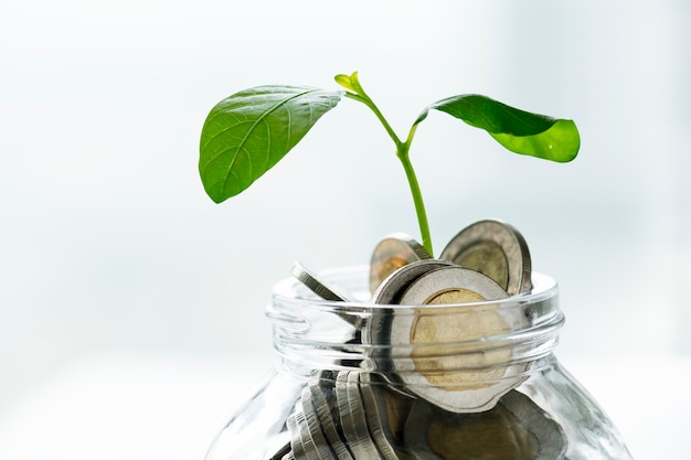 お金と成長している植物とグリーン経済の瓶 無料の写真