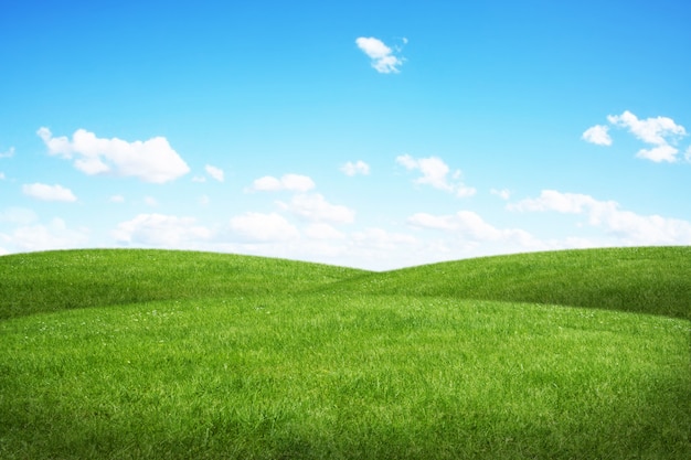 Premium Photo | Green field and blue sky