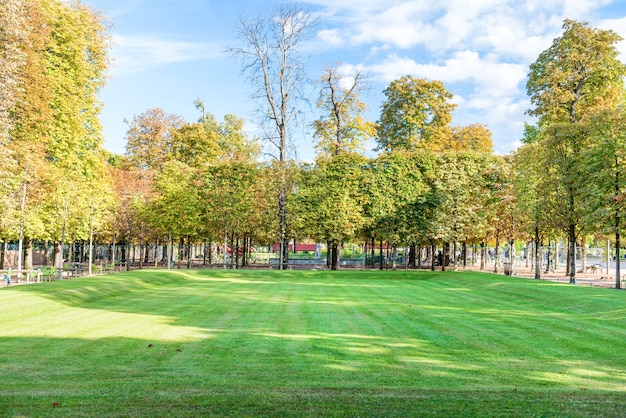 Premium Photo | Green field with trees in tuileries garden in paris, france