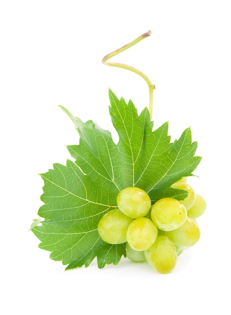 Premium Photo | Green grape with leaves isolated on white. with ...