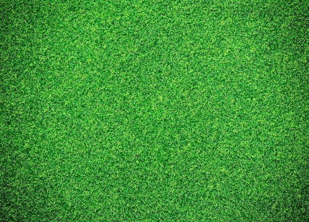 Premium Photo | Green grass background