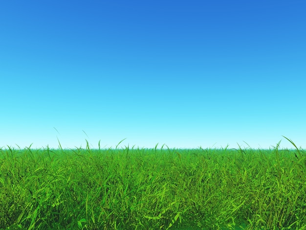 Green Grass And Blue Sky Free Photo