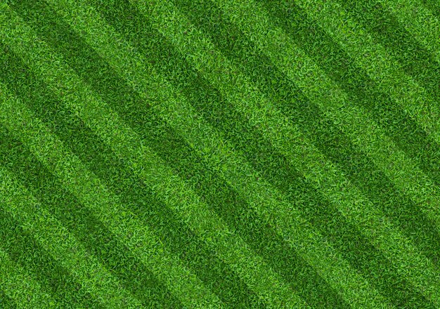 Premium Photo | Green grass field pattern background for soccer and ...