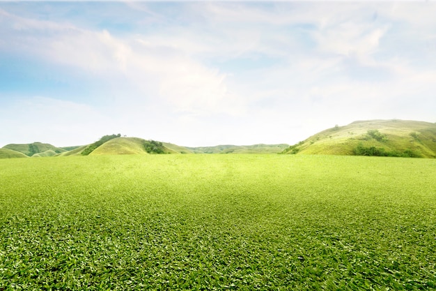 Premium Photo Green Grass Field With Hills