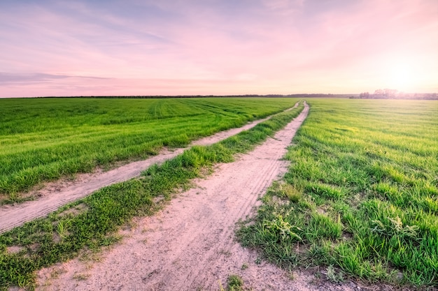 Premium Photo Green Grass In A Field With A Road