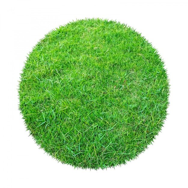 Green grass texture for background. Premium Photo