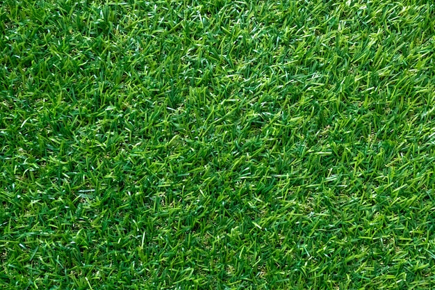 背景の緑の芝生のテクスチャです 緑の芝生のパターンと質感 上面図 プレミアム写真