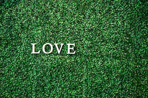 Premium Photo Green Grass Wall Backdrop And Word