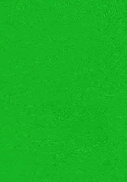 Premium Photo | Green leather texture