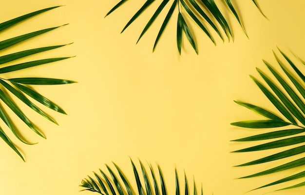 Download Premium Photo | Green leaves of palm tree on yellow background for mockup