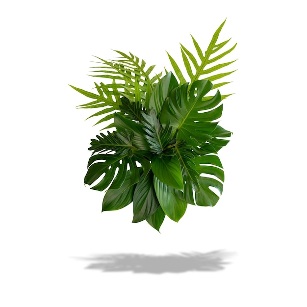 Premium Photo | Green leaves of tropical plants bush floral arrangement ...