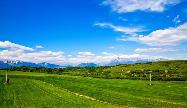 スロバキアの背景に緑の草原と山 プレミアム写真