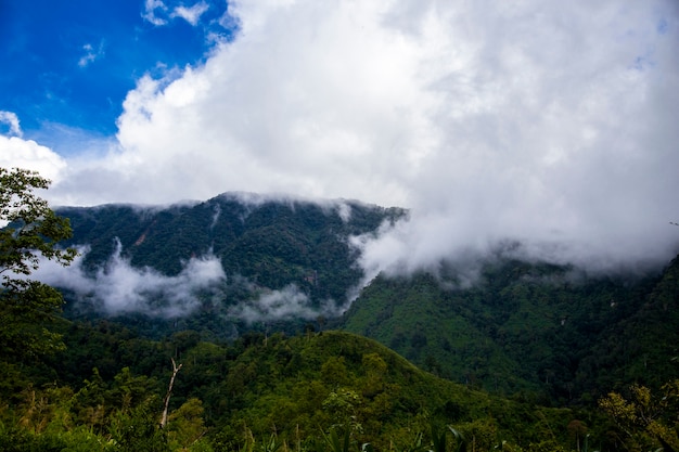 Premium Photo | Green mountain with fog and blue sky