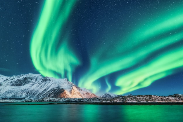 Premium Photo | Green northern lights