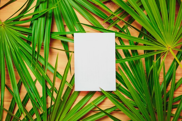 Premium Photo Green Palm Branches On The Wooden Table Ecological