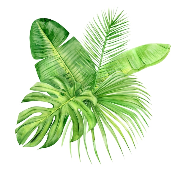 Premium Photo | Green palm leaves bouquet. tropical plant. hand painted ...