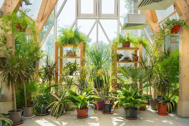 Premium Photo | Green plants in a pavilion with a glass roof. modern ...