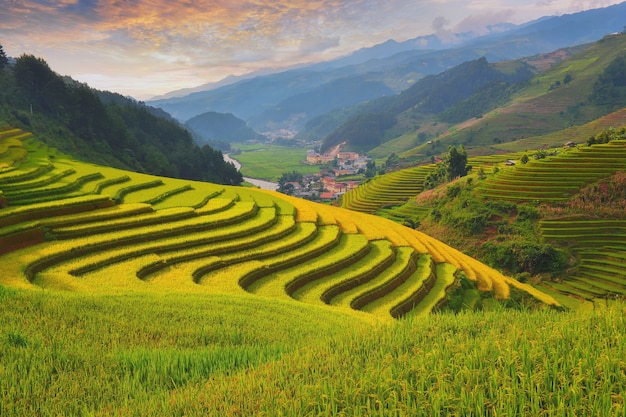 Premium Photo | Green rice fields on terraced in mu cang chai