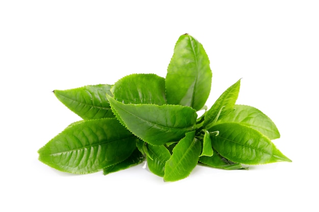 Зеленый чай на белом фоне