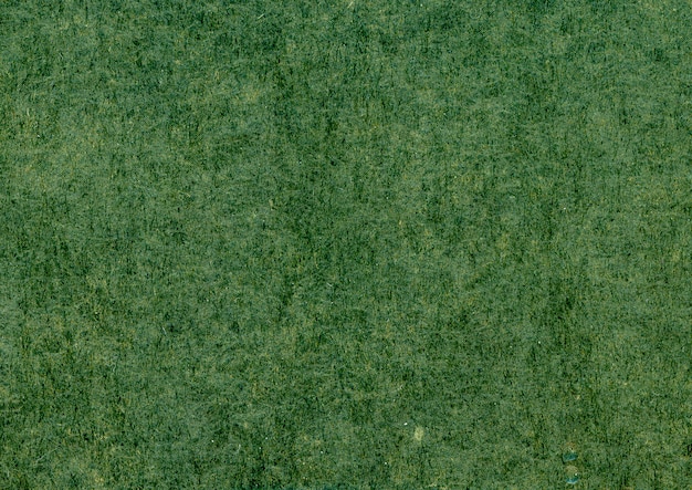 Free Photo Green Texture Closeup