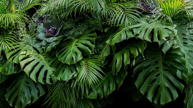 モンステラ シダ およびヤシの緑の熱帯の葉は 暗い背景 自然の葉のテクスチャ 自然の背景に熱帯雨林の観葉植物ブッシュのフラワーアレンジメントを葉します プレミアム写真