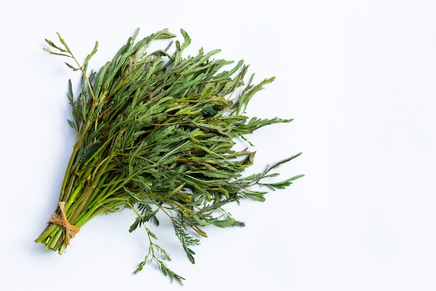 Premium Photo | Green water mimosa vegetables on white background.