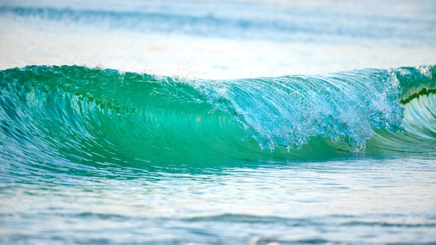 Premium Photo | Green wave motion