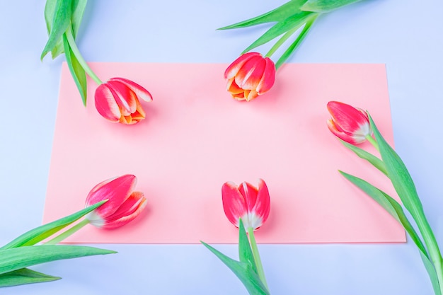 Premium Photo Greeting Card With Frame From Fresh Tulips On Pink Background
