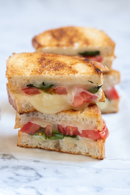 Premium Photo | Grilled cheese caprese panini with tomato, mozzarella ...