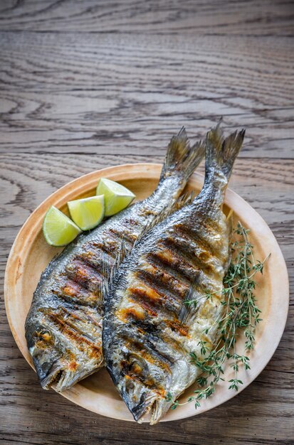 Premium Photo | Grilled dorade royale fish