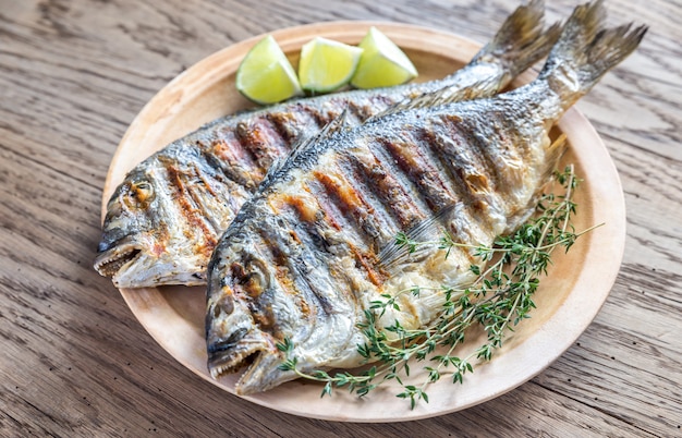 Premium Photo | Grilled dorade royale fish