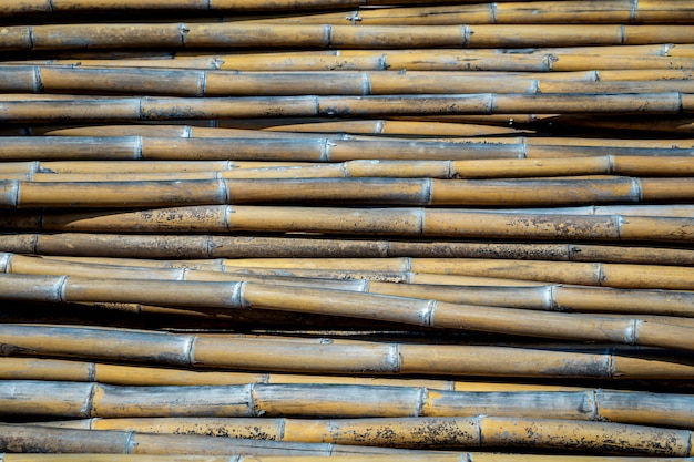 Premium Photo | Group of bamboos background.pile of bamboo pole texture ...