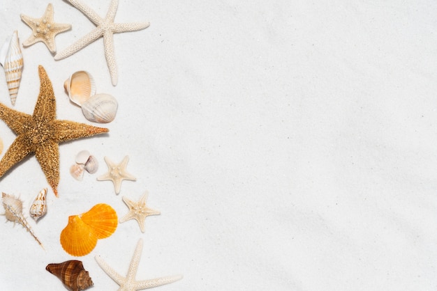 美しい貝殻と白い砂浜の背景にヒトデのグループ プレミアム写真